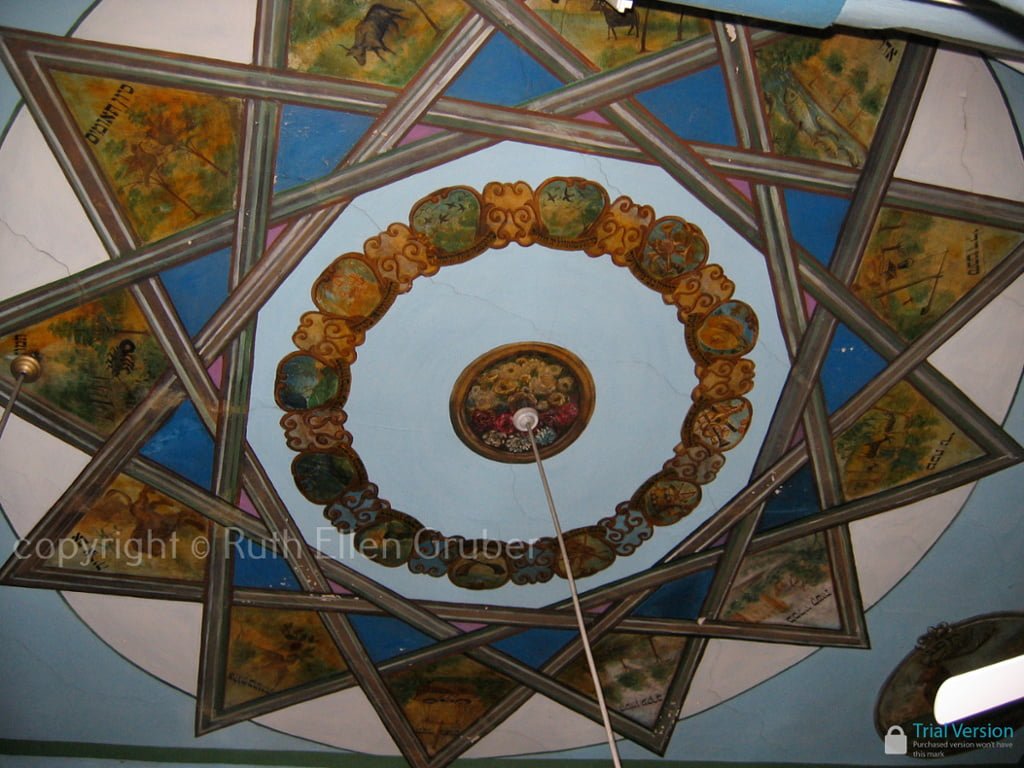 chernivtsi-syn-wm1