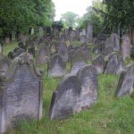 Jewish cemetery, Brandys and Labem CZ