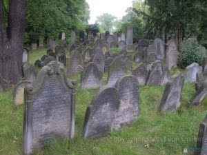 Jewish cemetery, Brandys and Labem CZ
