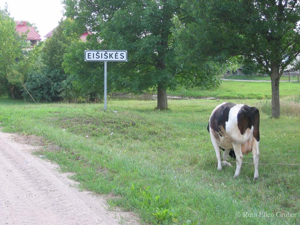 Eisiskes, Lithuania-wm3