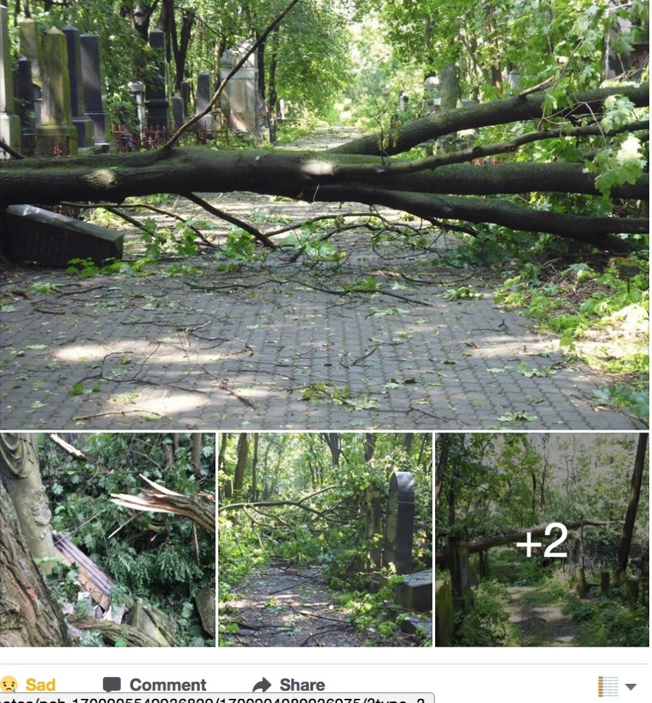 Screengrab of Facebook montage showing damage to Okopowa street Jewish cemetery