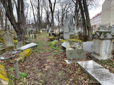 General view of the unrestored part of the Wahringer Jewish cemetery, Vienna