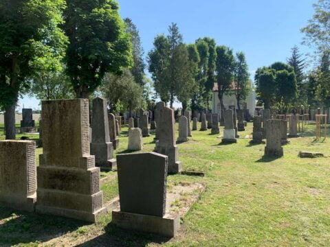 The newly-restored Jewish cemetery in St. Pölten, May 2024 Photo © National Fund/Judith Pfeffer