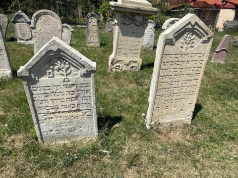 Restored matzevot in the Alba Iulia Jewish cemetery
