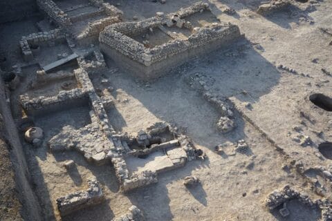 General view of the Phanagoria synagogue/Jewish quarter excavation Photo: Institute of Archaeology, Russian Academy of Sciences