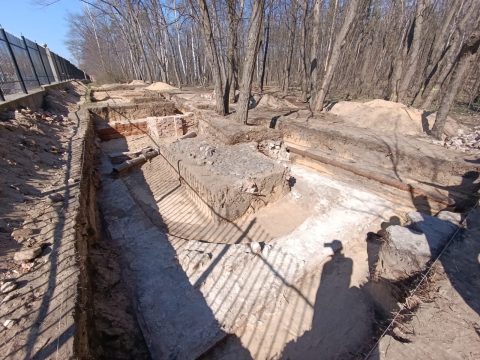 Excavations in the Bródno cemetery. Photo: MWKZ