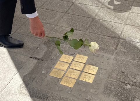 Placing a rose on newly laid Stolpersteine in Lampertheim, Germany, May 2024