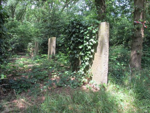 An overgrown part of the Muiderberg Jewish cemetery near Amsterdam