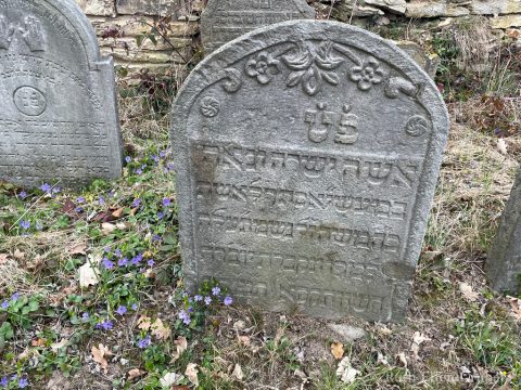 Gravestone in the Jewish cemetery, Velká Bukovina, CZ