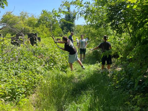 Volunteers clean the Jewish cemetery in Łódź, Poland, June 15, 2025