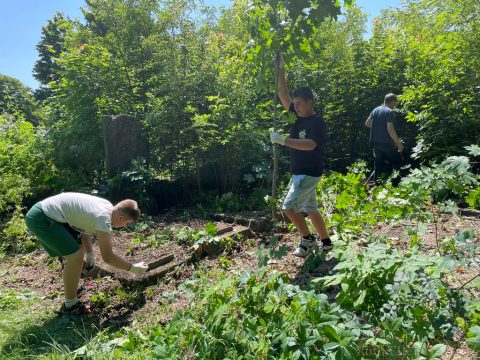 Volunteers clean the Jewish cemetery in Łódź, Poland, June 15, 2025