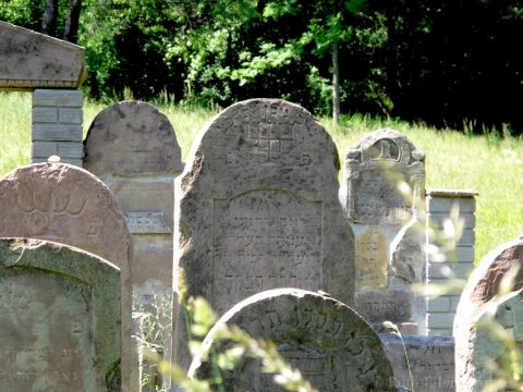 In the Jewish cemetery, Sanok